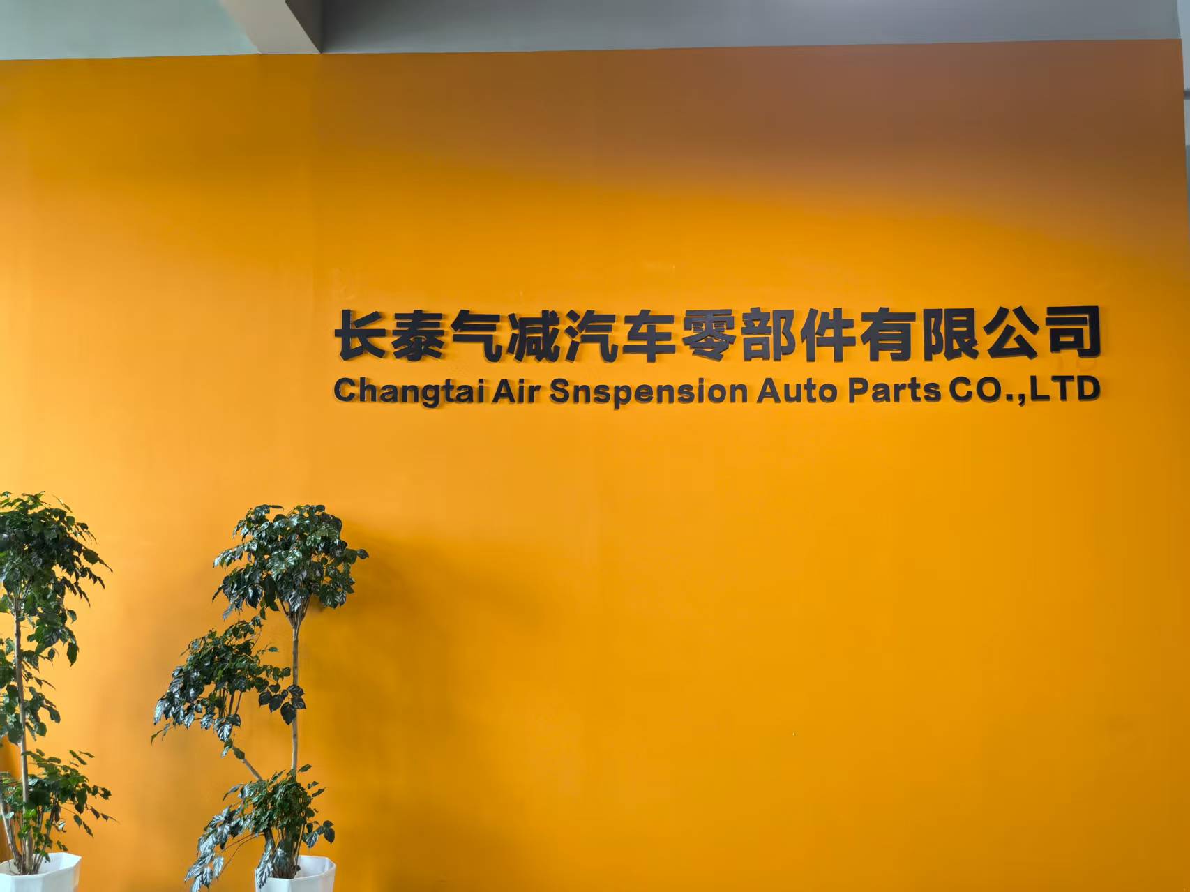 Trends in Air Suspension Development